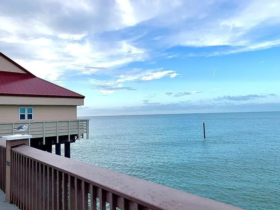 Charming 2-Beds Central Clearwater Apartment With Private Backyard 0*,  USA